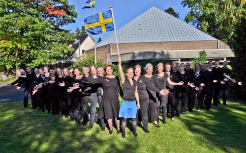 Sveriges Flagga